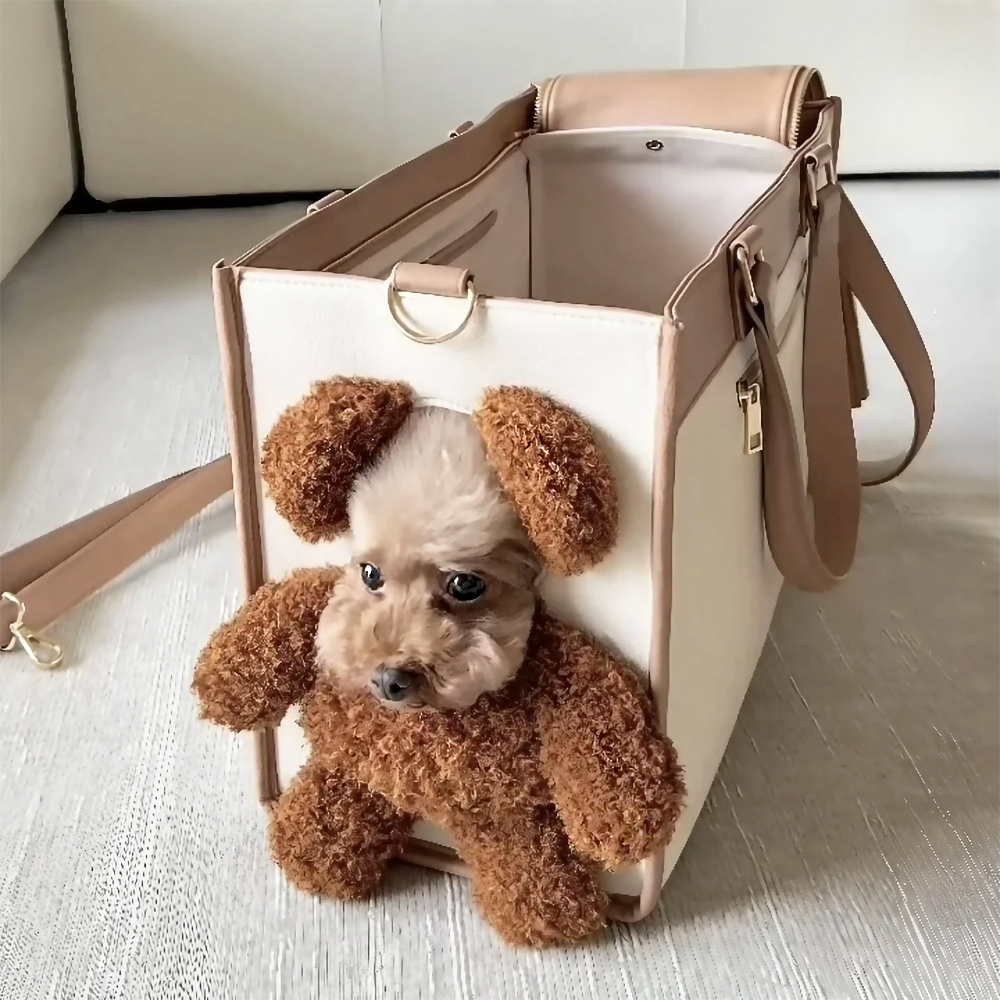 Cute Teddy Pet Carry Bag