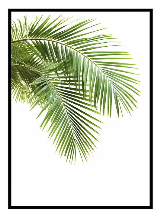 Palmblätter (A) Kunstdruck
