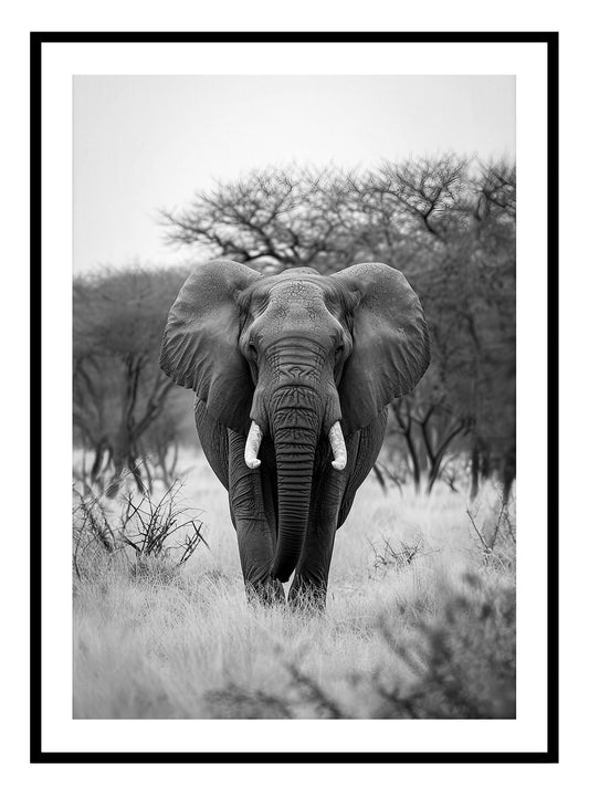 Safari Elephant Art Print - 2 Colours