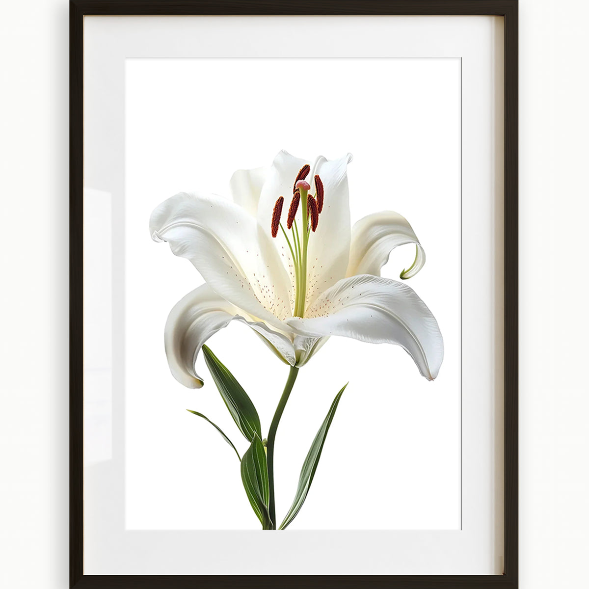 Kunstdruck der Sternenlilienblüte