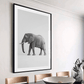 African Elephant (A) Art Print