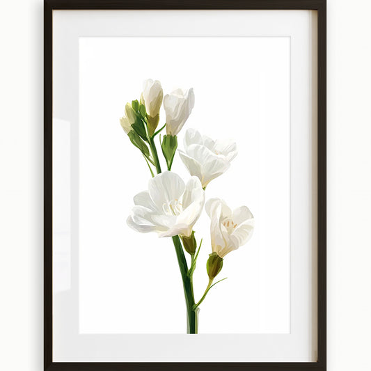 Print Celf Freesia Gwyn