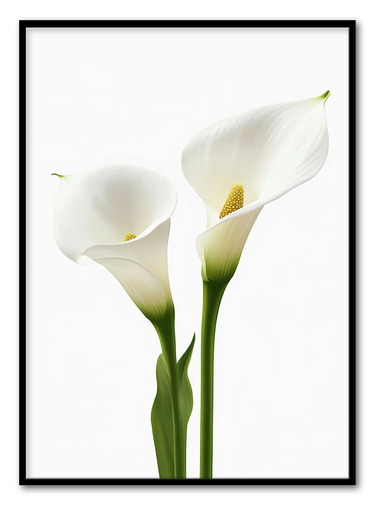 Cala Lillies Art Print