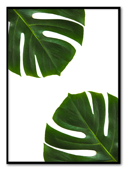 Palmbladeren Kunstdruk
