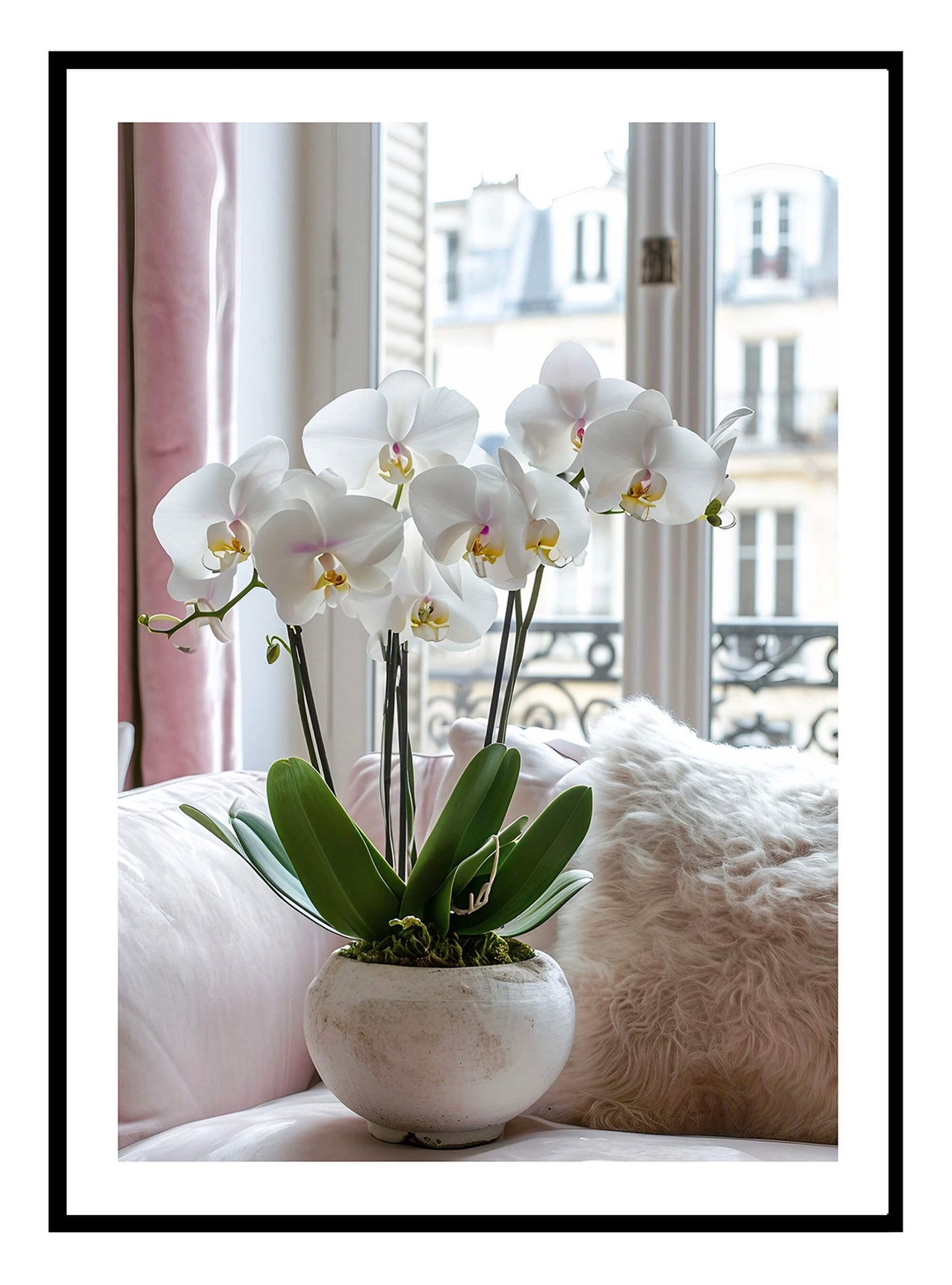 Phalaenopsis Orchid Flower (A) Art Print