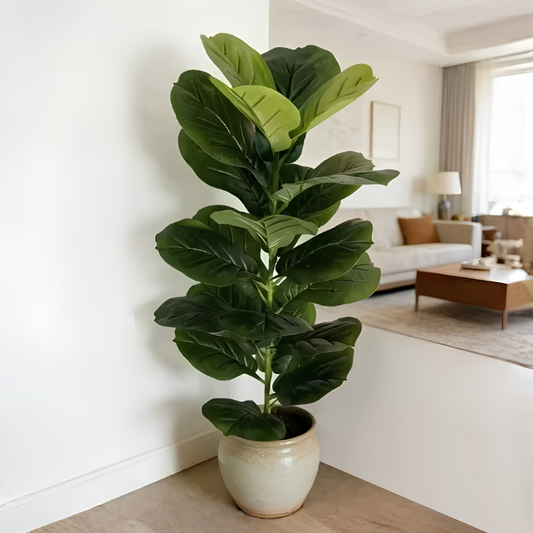 Tanaman Ficus Artifisial - 2 Ukuran