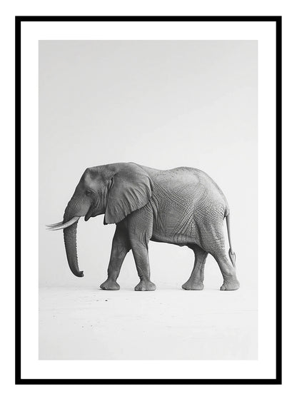 Afrikaanse Olifant (A) Kunstdruk