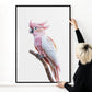 Pink Parrot Art Print