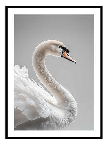 Serene Swan (F) Art Print