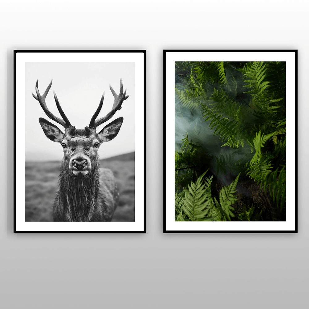 Highland Stag Art Print