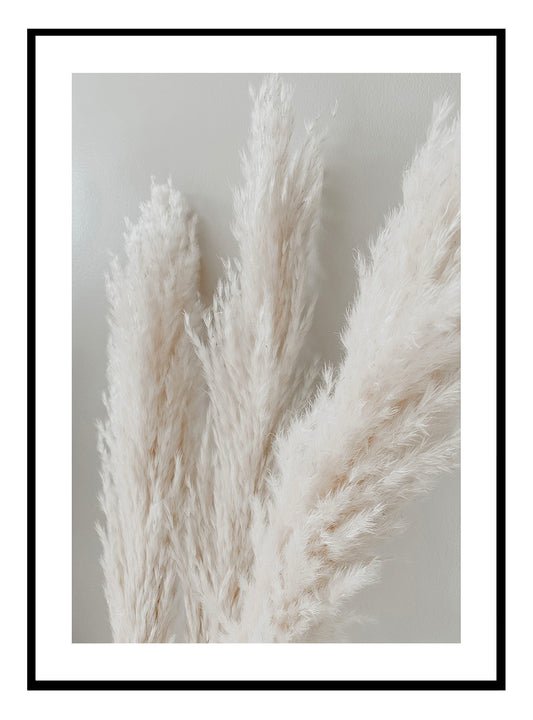 Pörröinen Pampas Grass -taidevedos