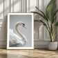 Serene Swan (F) Art Print