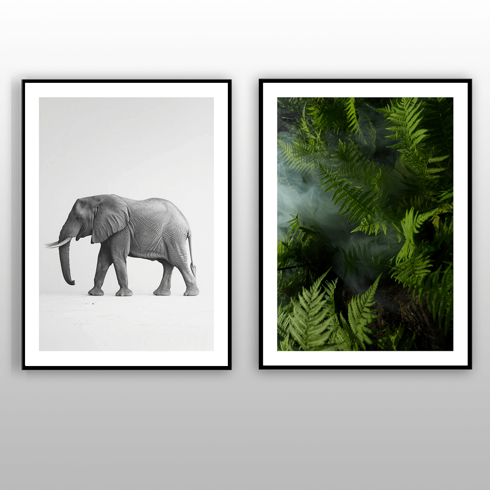 African Elephant (A) Art Print