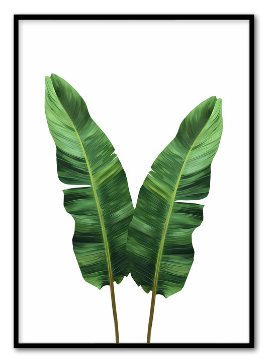 Strelitzia Leaves Art Print
