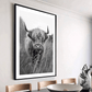 Highland Cow Art Print