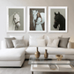 Loup sauvage Impression artistique