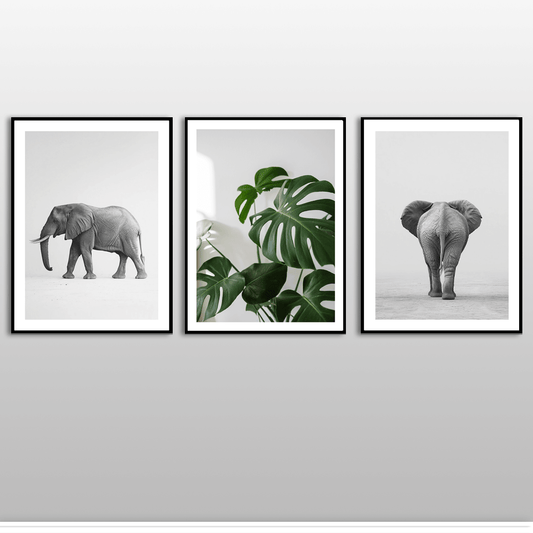 African Elephant (B) Art Print