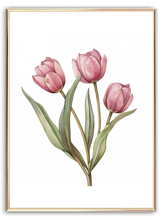 Watercolour Tulips Art Print