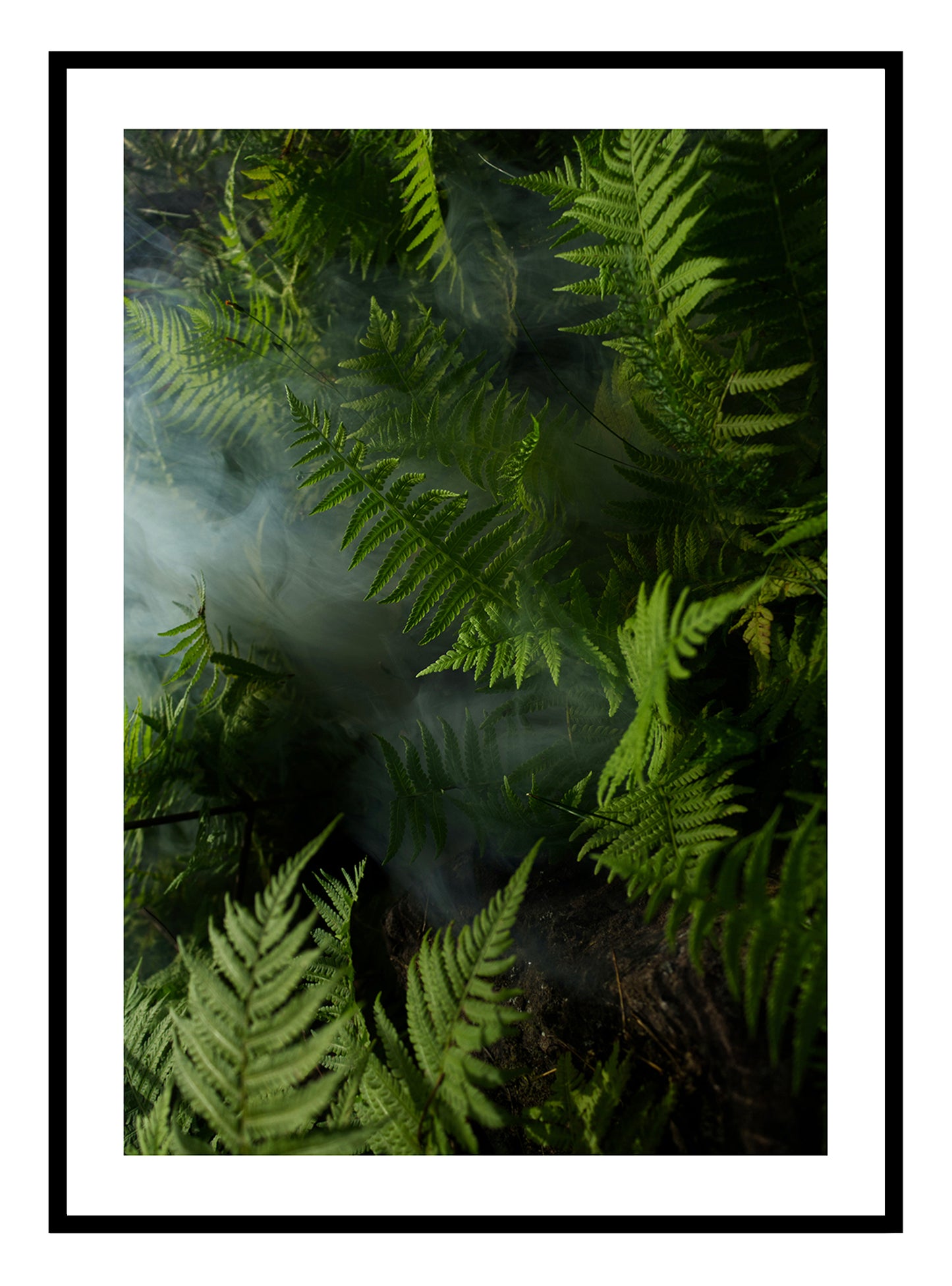 Stampa artistica di foglie di giungla