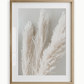 Fluffy Pampas Grass Art Print