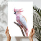 Pink Parrot Art Print