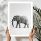 African Elephant (A) Art Print