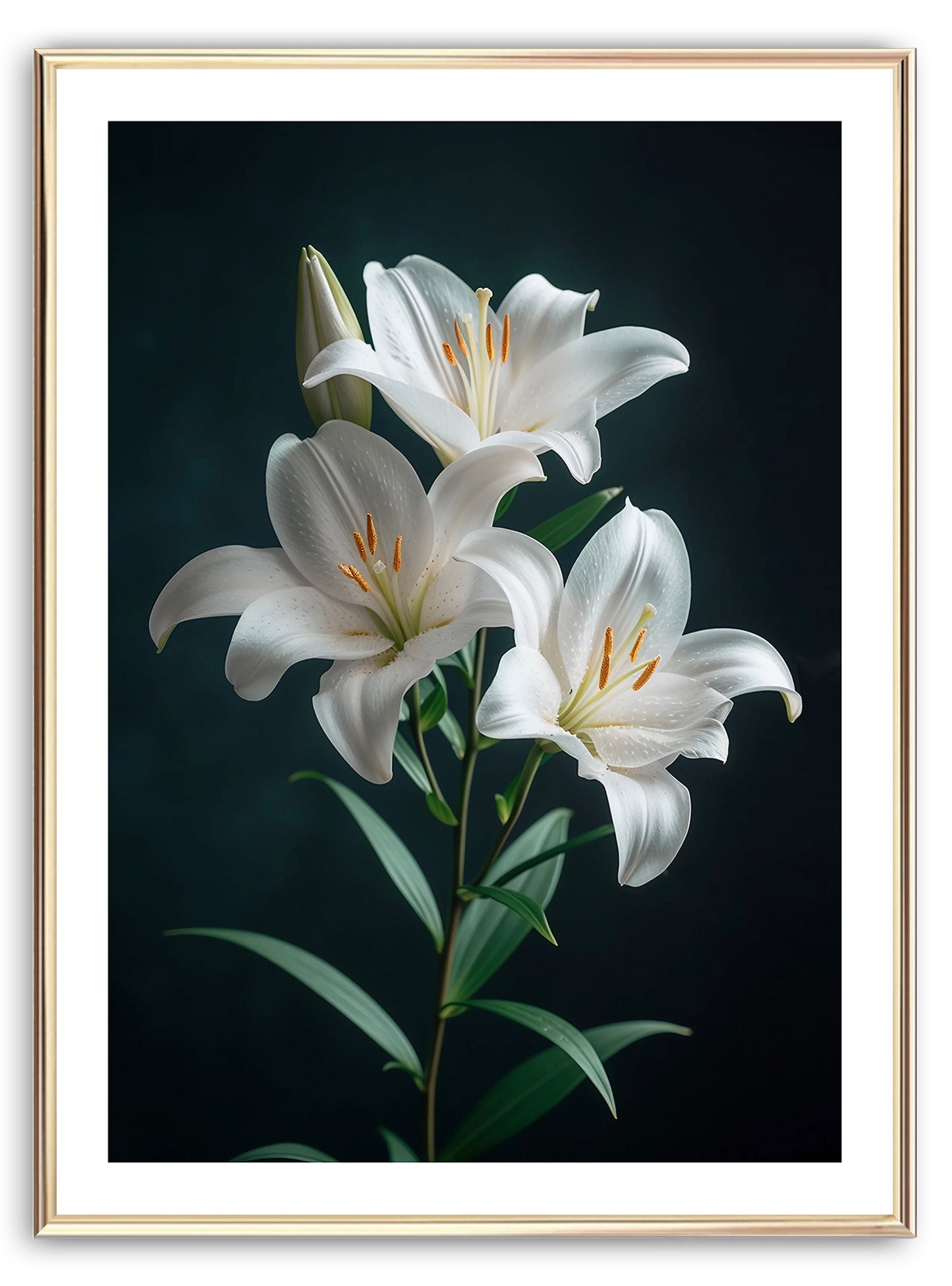 Stargazer Lillie's Art Print