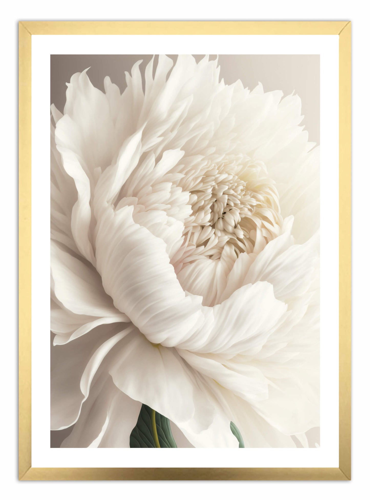 White Flower Art Print