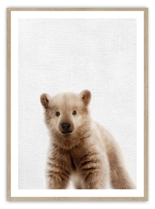 Baby Teddy Bear Cub Art Print