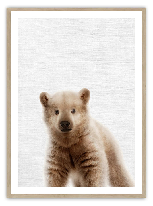 Baby Teddy Bear Cub kunsttrykk