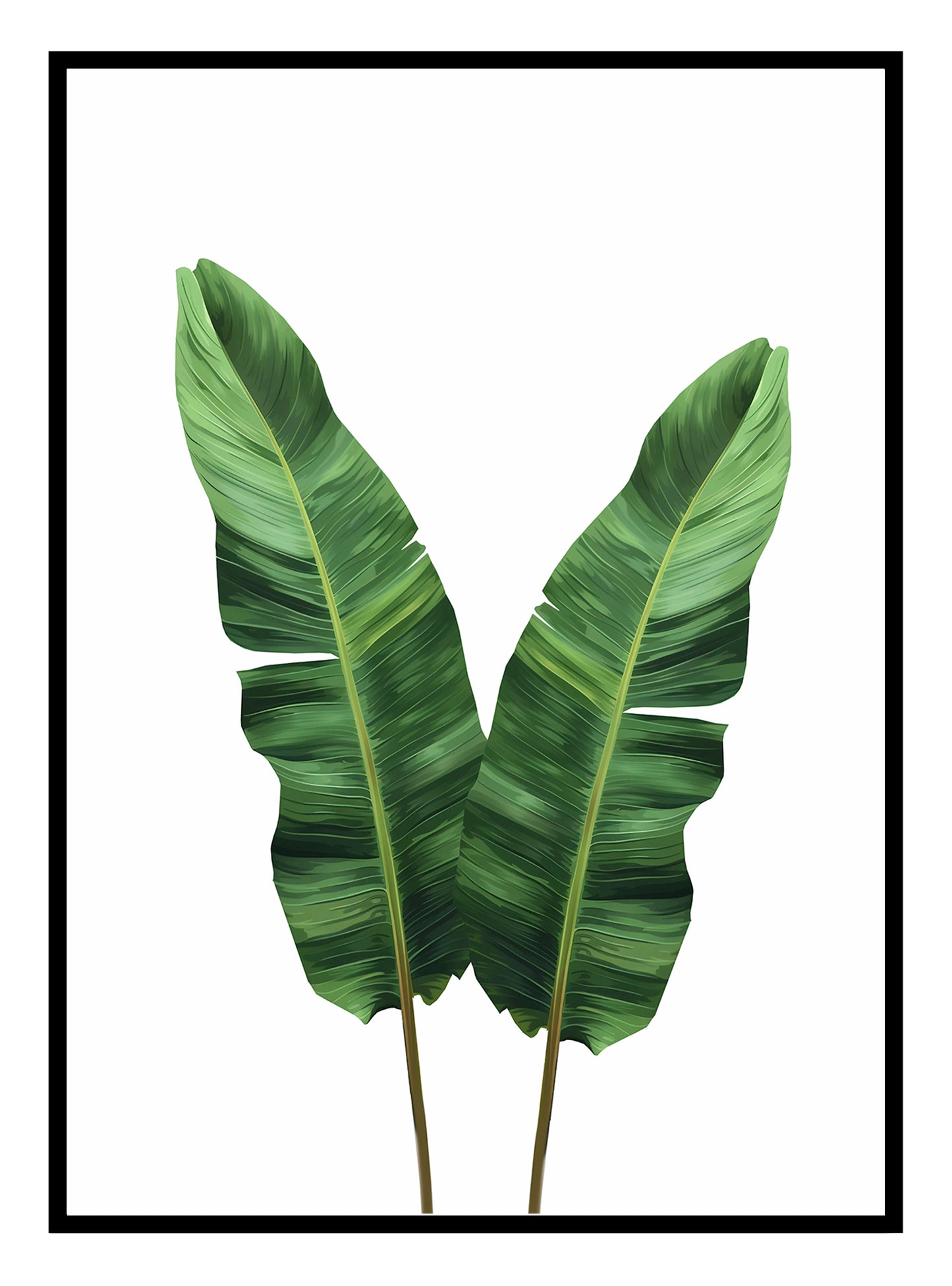 Strelitzia Leaves Art Print