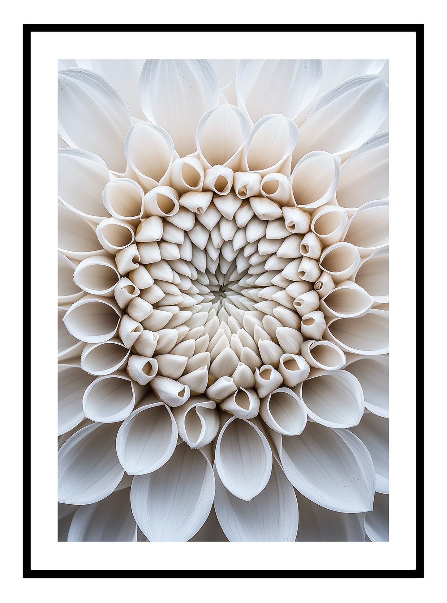 Macro Flower (B) Art Print