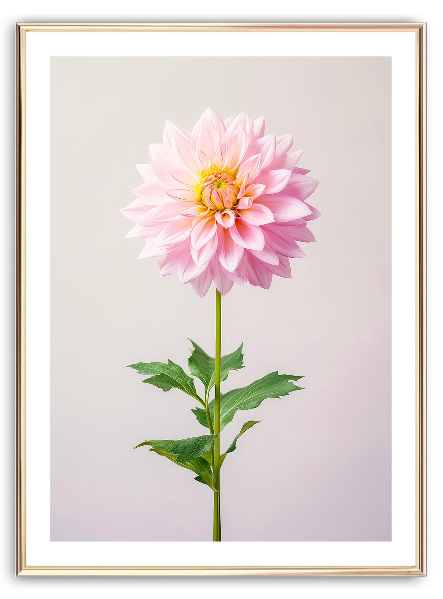 Dalia rosa en flor Lámina artística