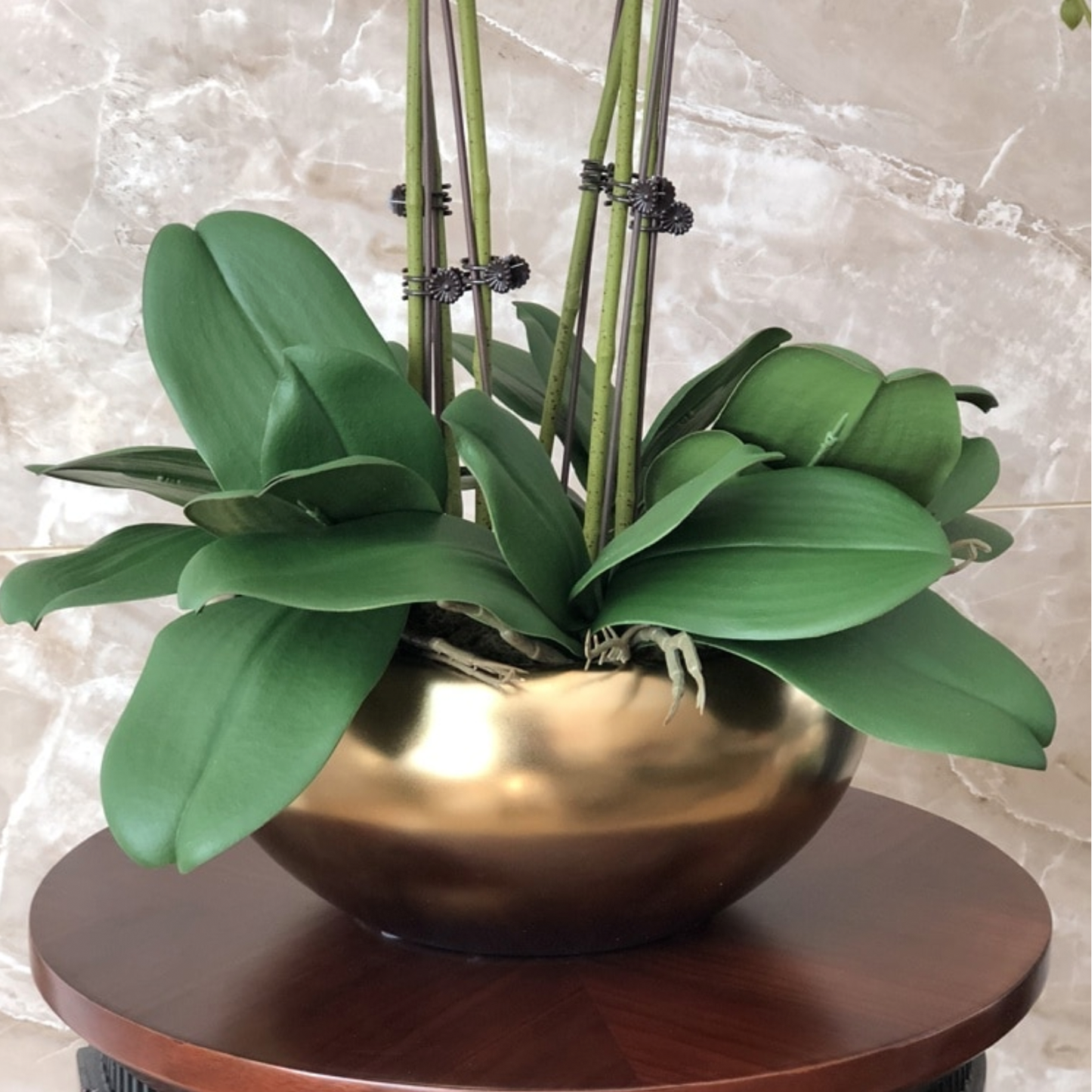 Héichwäerteg, realistesch kënschtlech Orchidee Set