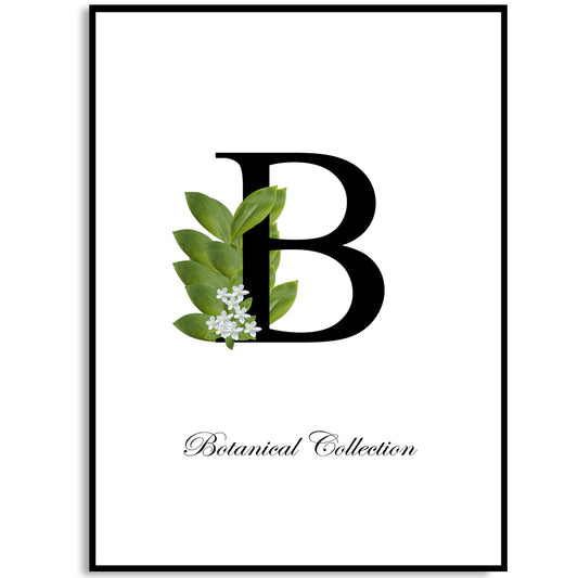 B For Botanical Art Print