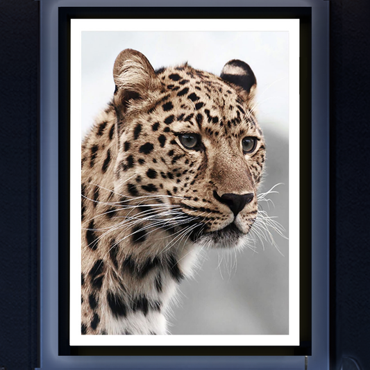LED Backlit Leopard Framed Art Light (D)