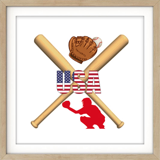 USA Baseball Art Print
