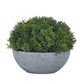 Mëttelstuf Hebe Globe Indoor Topiary Pot