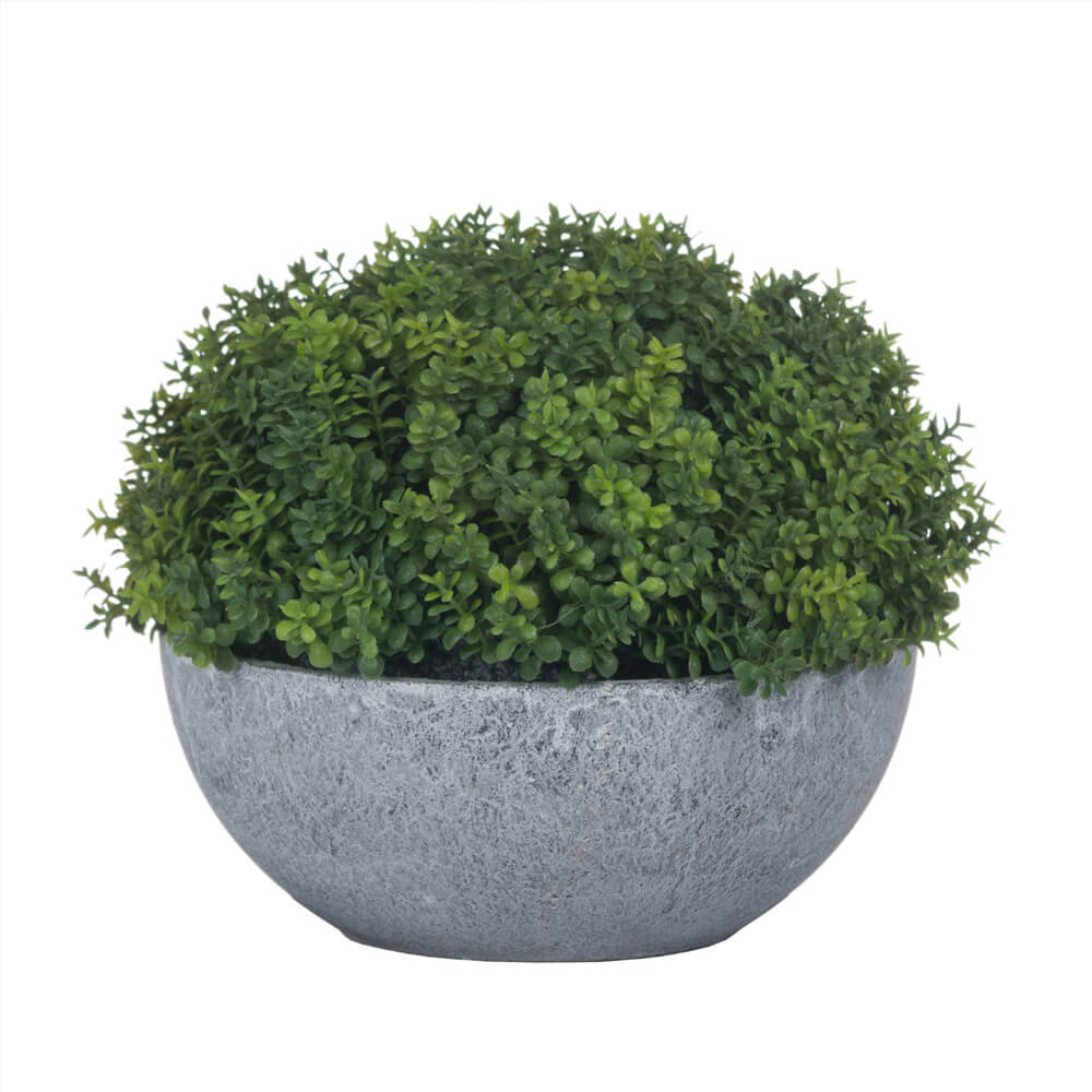 Medium Hebe Globe Indoor Topiary Pot