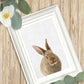 Baby bunny rabbit print, kids art