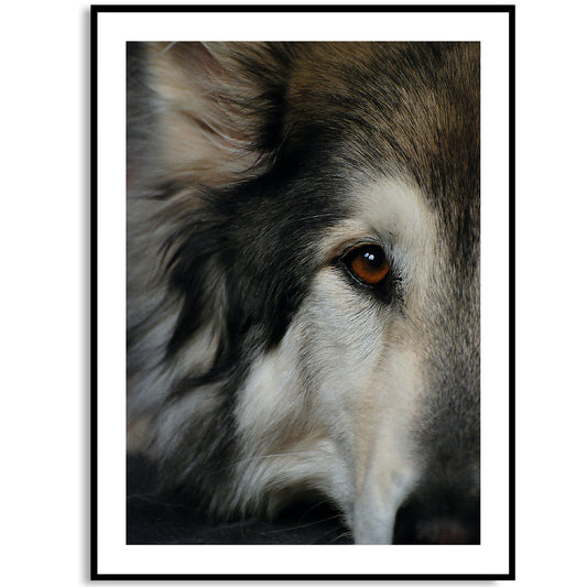 Wild Wolf Art Print