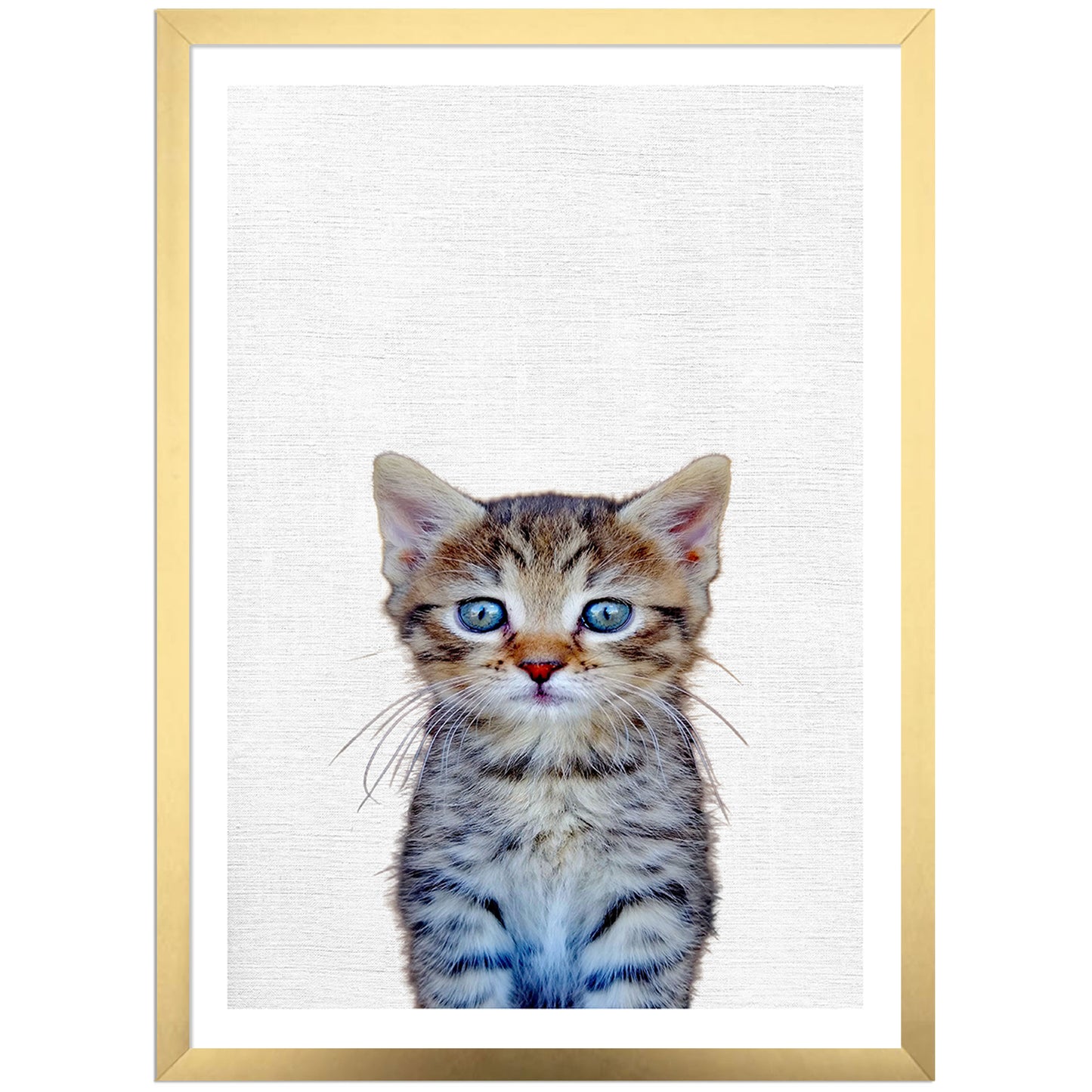 Cute Kitten Art Print