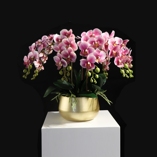 Vasi per piante di alta qualità - 2 colori