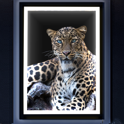 Luz de arte con marco de leopardo con retroiluminación LED (A)