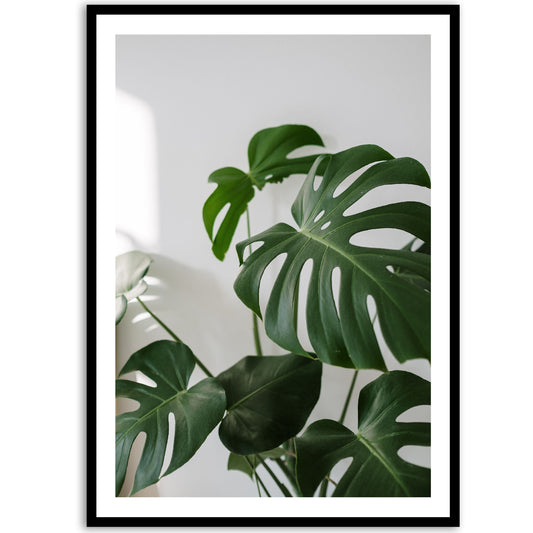 Botanical green plant art poster