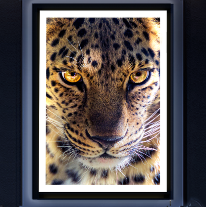 Luz de arte con marco de leopardo con retroiluminación LED (B)