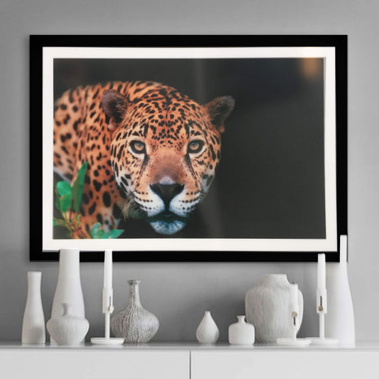 LED Backlit Leopard Framed Art Light (C)