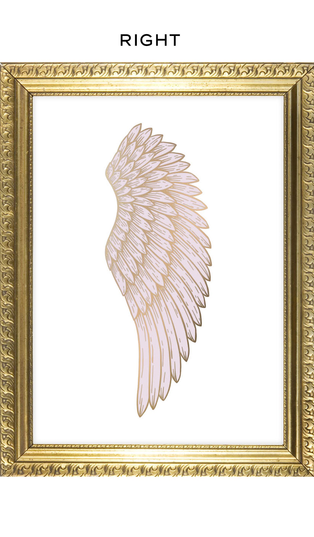 Angel Wing kunsttrykk
