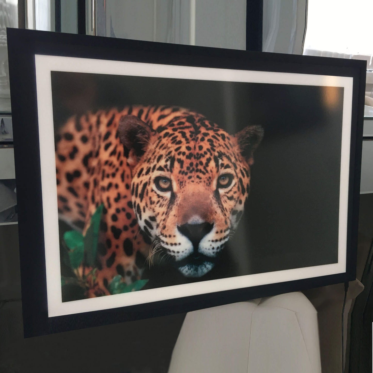 Luce artistica con cornice leopardata retroilluminata a LED (C)